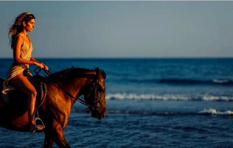 Верхом на радуге эмоций: Цвета психического здоровья в конном спорте