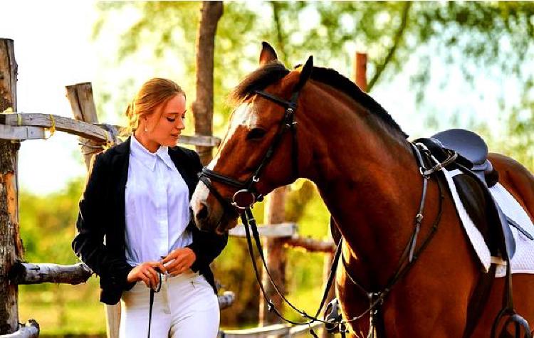 Разведение лошадей для конной стрельбы из лука: Точность и скорость в гармонии