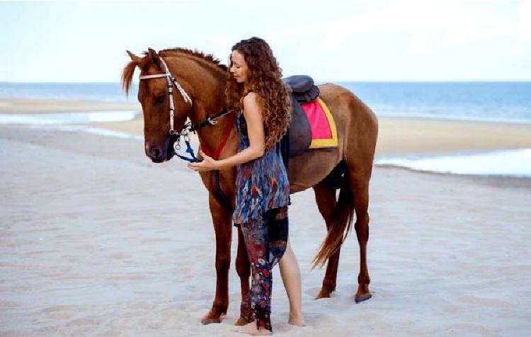 Путешествия в Джодхпур: Изучение тенденций рынка конного спорта