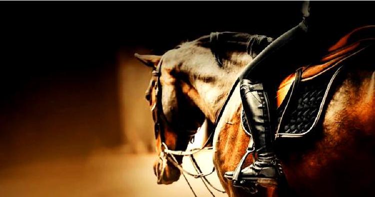 Разведение лошадей для конного ориентирования: Точное ориентирование на местности