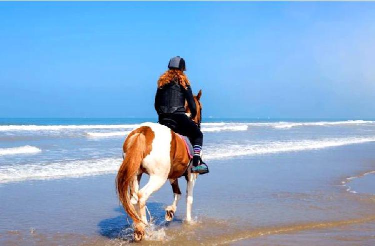 Улучшение манер поведения вашей лошади на земле: Тренировочные упражнения для воспитания уважения