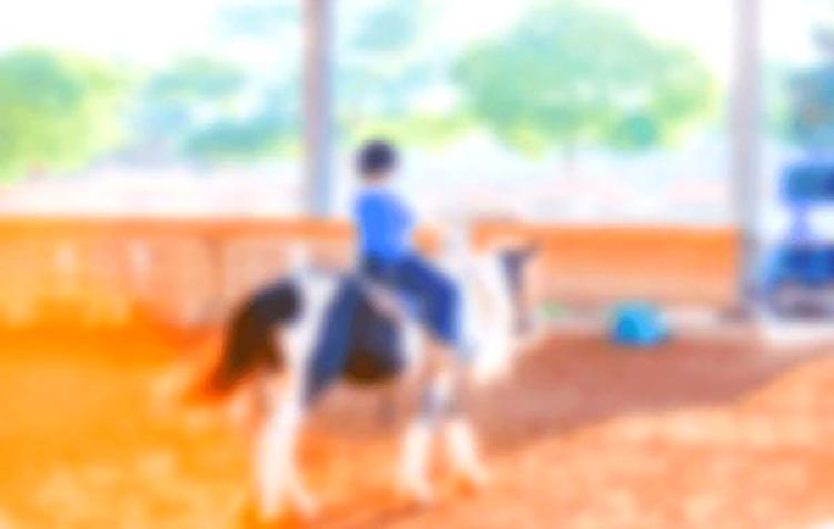 Преодоление поведенческих проблем у лошадей с прошлой травмой: подходы к лечению