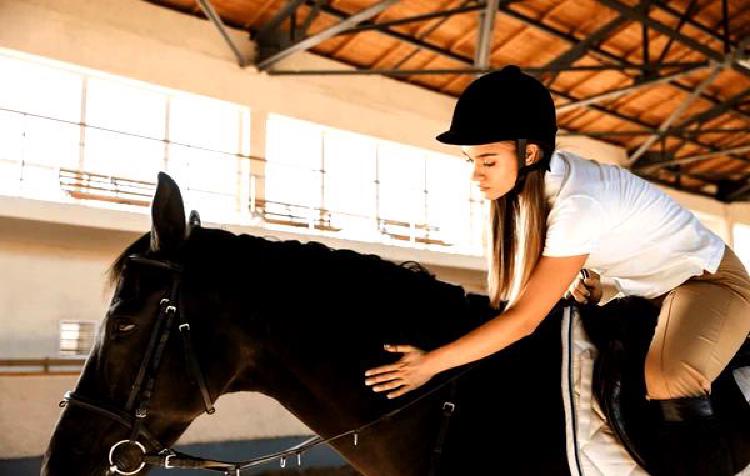 'Копыта надежды': Скачки на спасенных лошадях навстречу светлому будущему