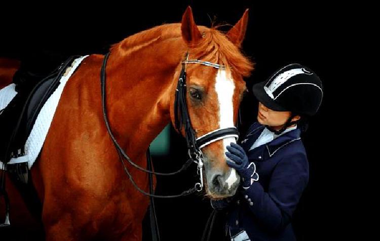 Езда в ритме: Лошадиный массаж для гармоничного взаимодействия всадника и лошади