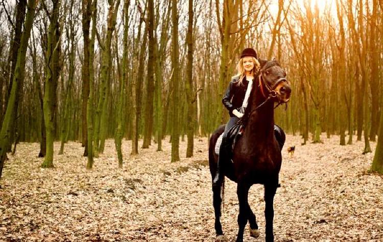 Играйте с изяществом: Искусство элегантной езды в играх на лошадях