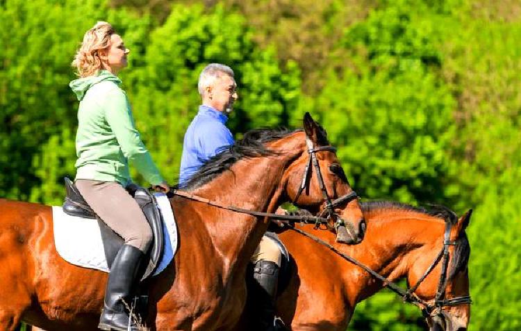 Отголоски конного спорта: Длительное воздействие терапии верховой ездой