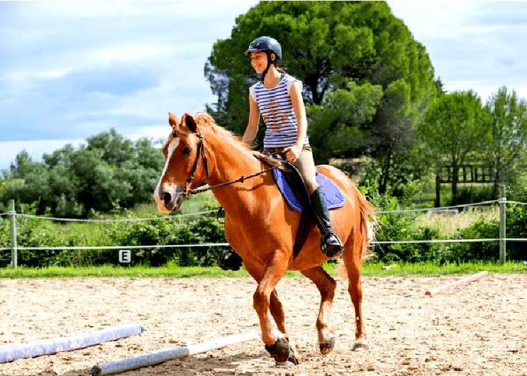 Динамичные дуэты: Молодые наездники и их партнерские отношения с лошадьми в верховой езде