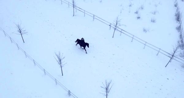 ### Создание основы