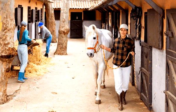 ### Недорогие конные прогулки в Испании