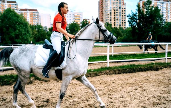 ### Влияние технологий на экипировку для конного спорта