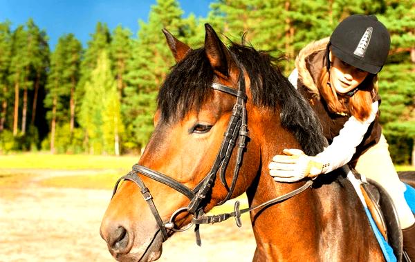 ### Овладение базовыми техниками