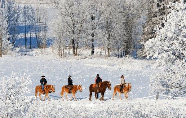 ### Важность скорости для производительности лошадей